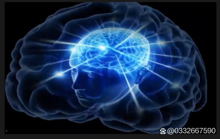 吃瓜网每日大赛 - 理性吃瓜人头像